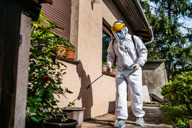 Best Ant Control Services  in Tompkinsville, KY