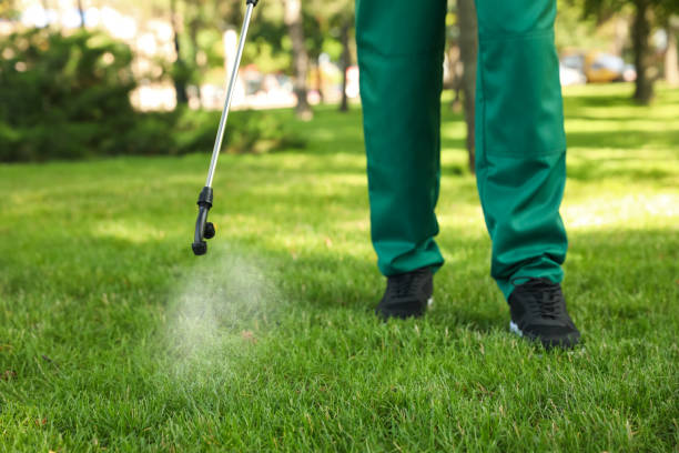 Best Flea Control Services  in Tompkinsville, KY