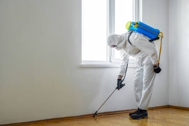 Best Emergency Pest Control  in Tompkinsville, KY