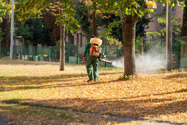 Best Cockroach Control Services  in Tompkinsville, KY